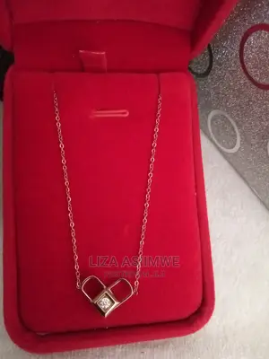 Unique Stainless Steel Necklaces Available With the Gift Box