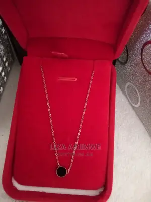 Classy Stainless Steel Necklace Available With a Box Itself