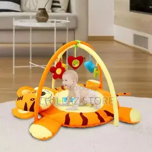 Baby Play Gym