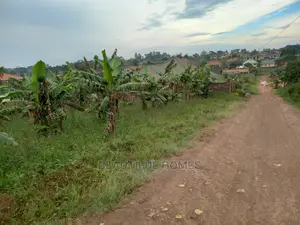 Kasangati 100*100 on Sale