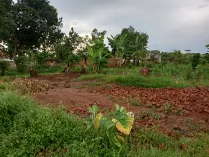 On Sale ,25 Decimals in Kasangati