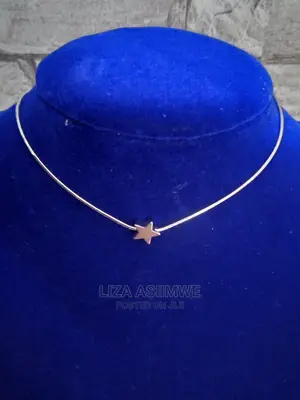 Simple Lady Necklaces Available