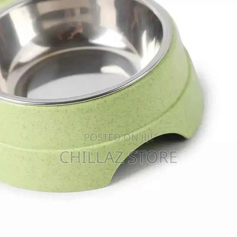 Automatic Pet Feeder