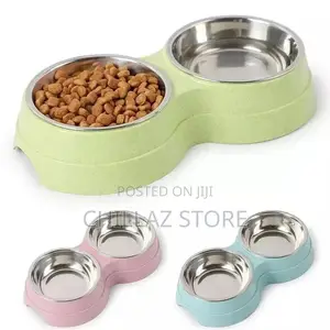 Automatic Pet Feeder