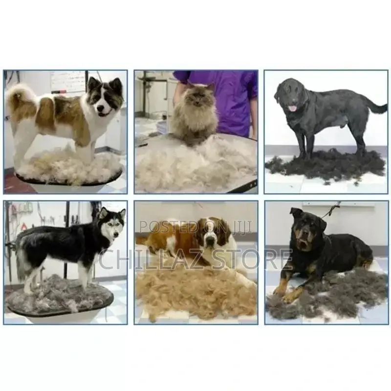 Pet Shed Pal