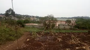 Spacious Land