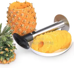 Pineapple Slicer/ Peeler,Corer