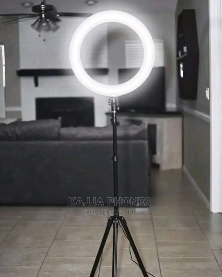 Led Fill Ring Lights 12 Inches