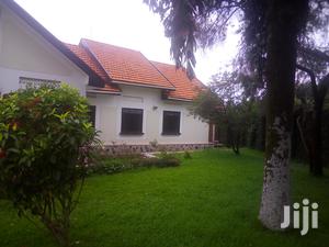 A Storeyed House for Rent