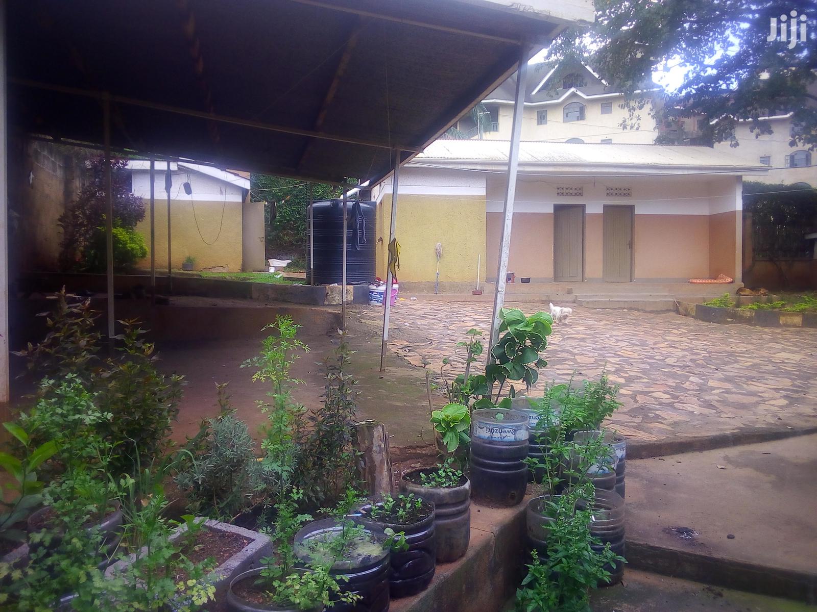 A Colonial House for Rent