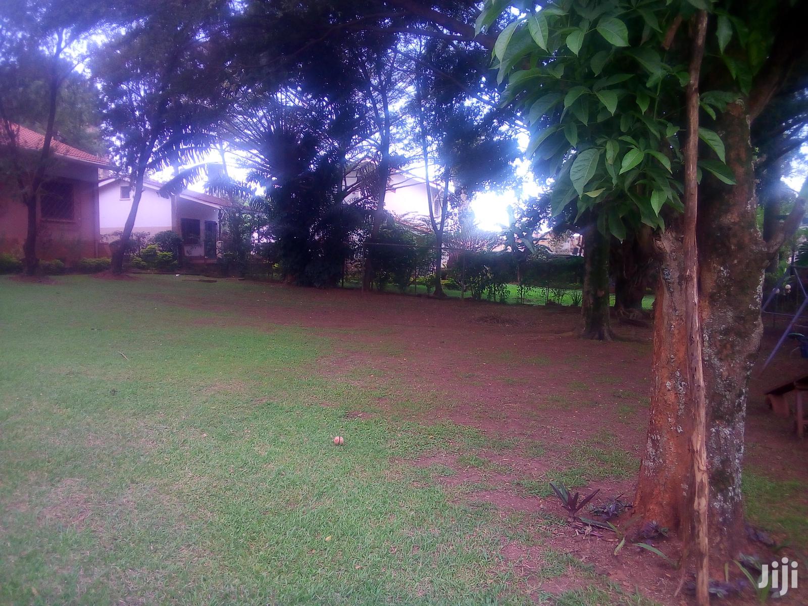 A Colonial House for Rent