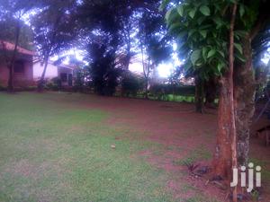 A Colonial House for Rent