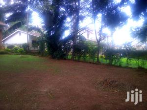 A Colonial House for Rent