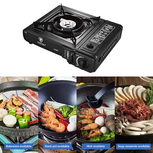 Portable Gas Stove