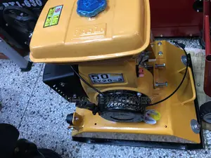 Plate Compactor Robin Type