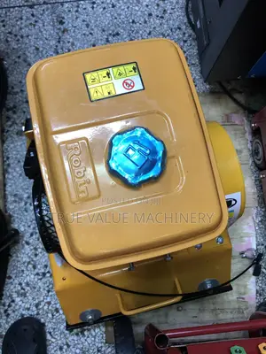 Plate Compactor Robin Type