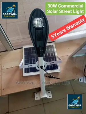 30W Original Commercial Solar Street Light
