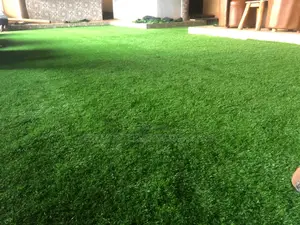 Grass Carpet (Artificial Turf Grass)