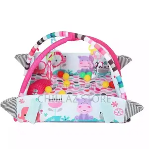 Baby Play Gym