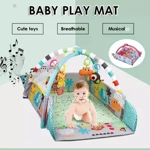 Baby Play Gym
