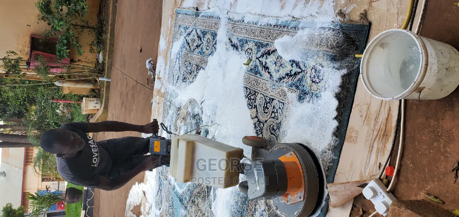 Carpet and Sofa Cleaning