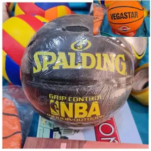 Professional Basketball