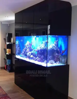 Aquarium With Selective Rocks and Bog Wood