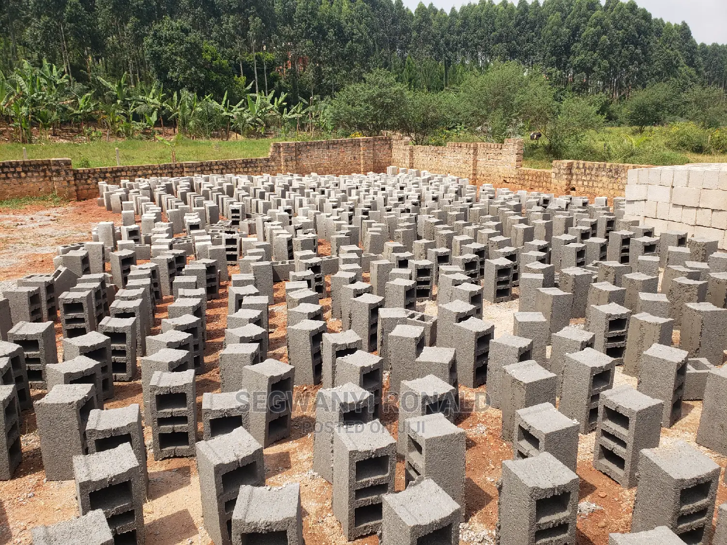 Hollow Blocks 8inch