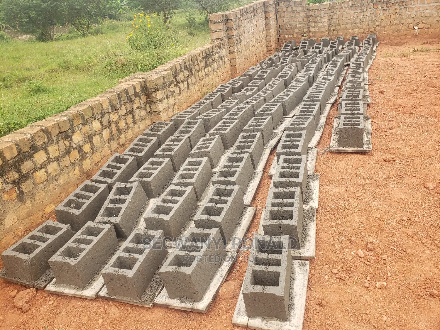 Hollow Blocks 8inch