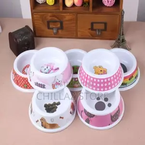 Pet Food Bowl