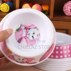 Pet Food Bowl