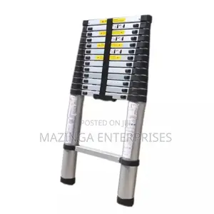 3.2meter Ajustable Aluminum Ladder