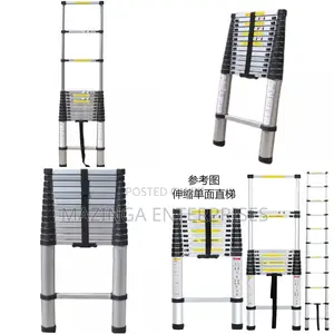 3.2meter Ajustable Aluminum Ladder