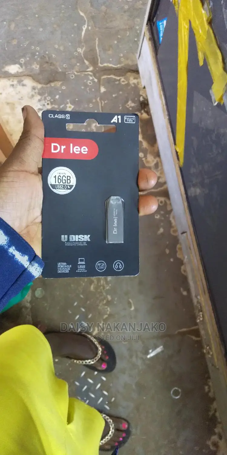 Dr Lee Flash Disk