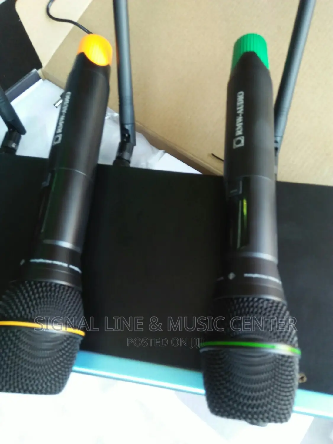 Rmw Wireless Microphone