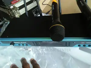 Rmw Wireless Microphone