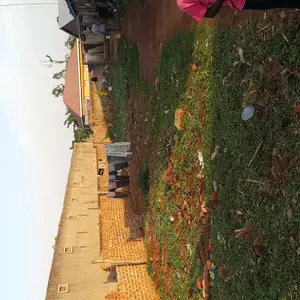 11 Rental Units in Tororo