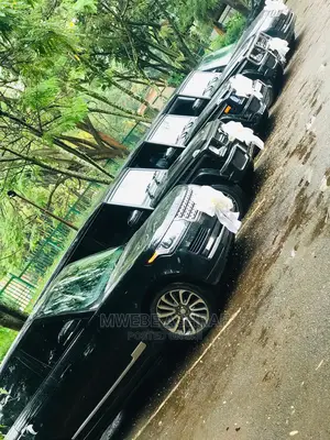 Executive Cars for Hire