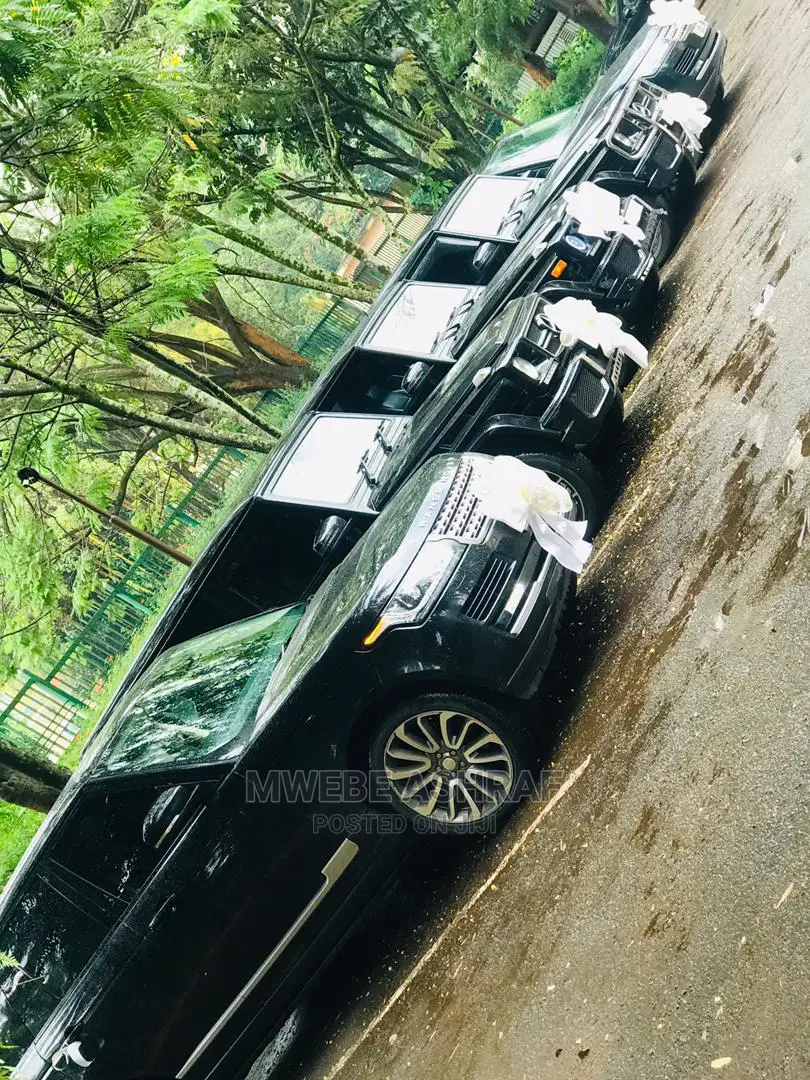 Executive Cars for Hire