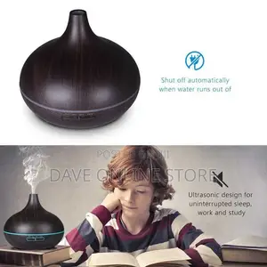 Ultrasonic Humidifier/Essential Oil Diffuser Air Freshener