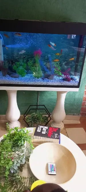 Aquarium Seated on a Marble Stand