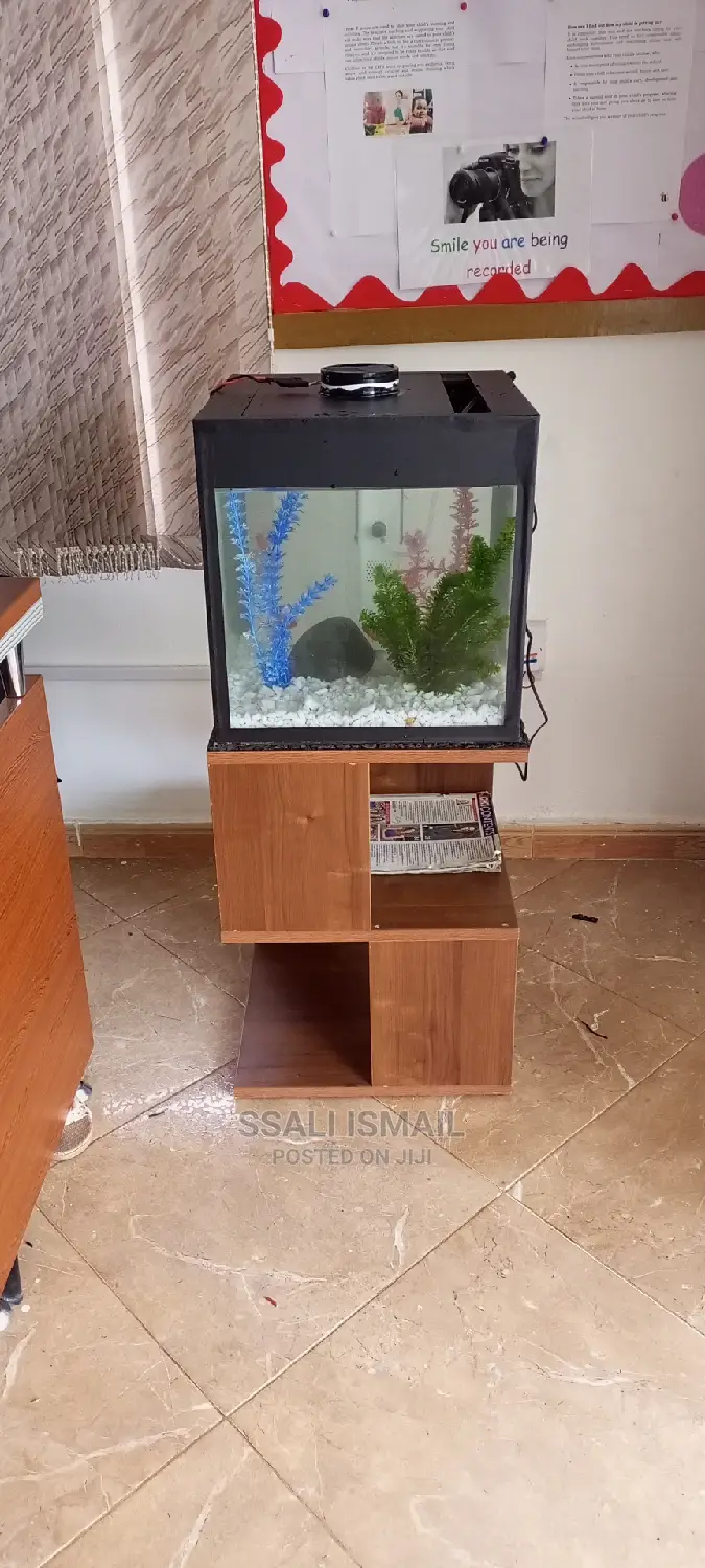 Quarium on a Unique Stand