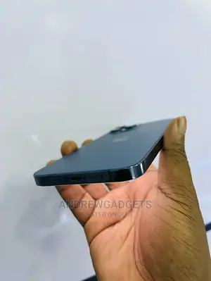 Apple iPhone 12 Pro Max 256 GB Blue