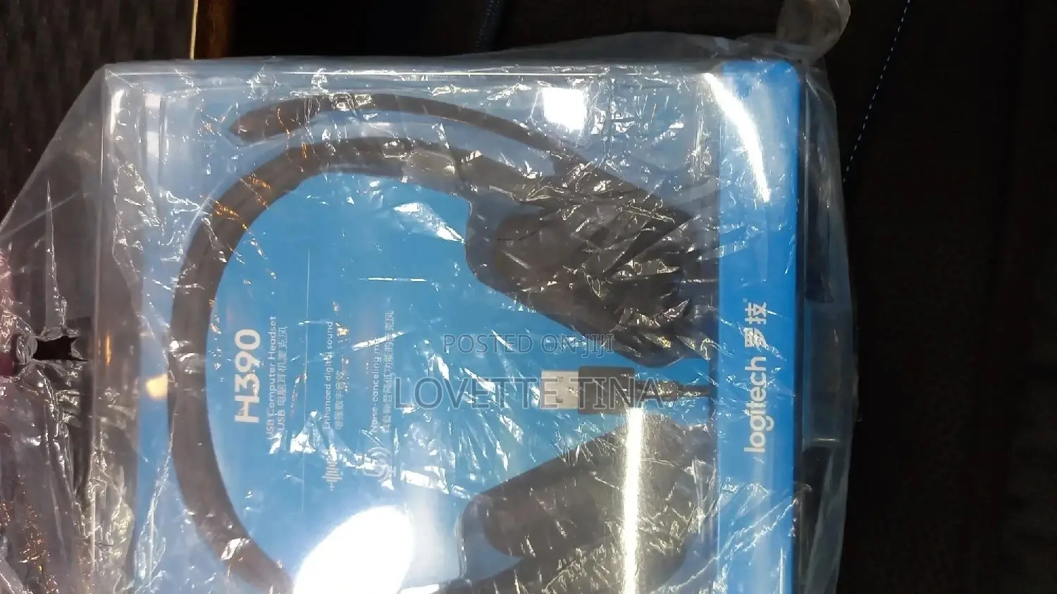 Logitech Headphones H390