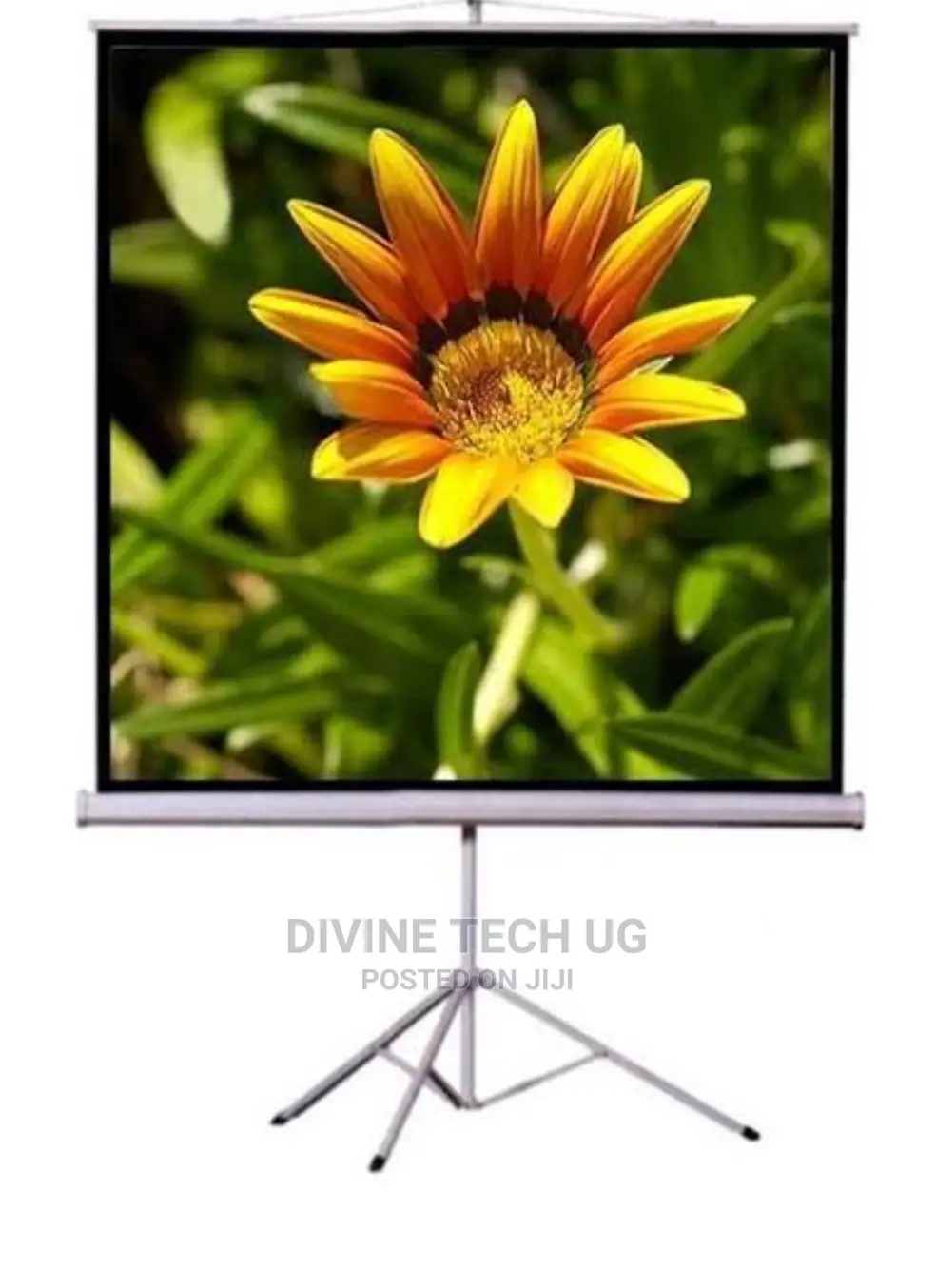 Projector Screen 200 by 200cm With Stand