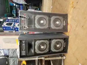 Dual Speakers