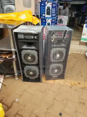 Dual Speakers