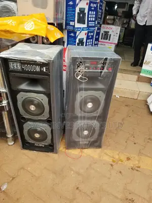 Dual Speakers