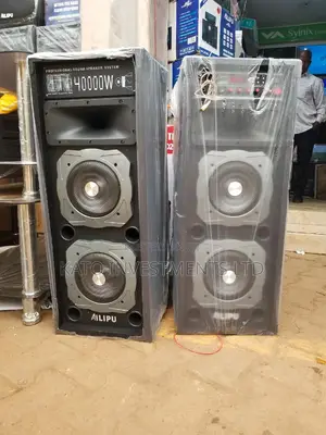 Dual Speakers