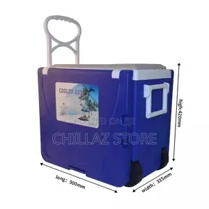 Multifunctional Cooler Box